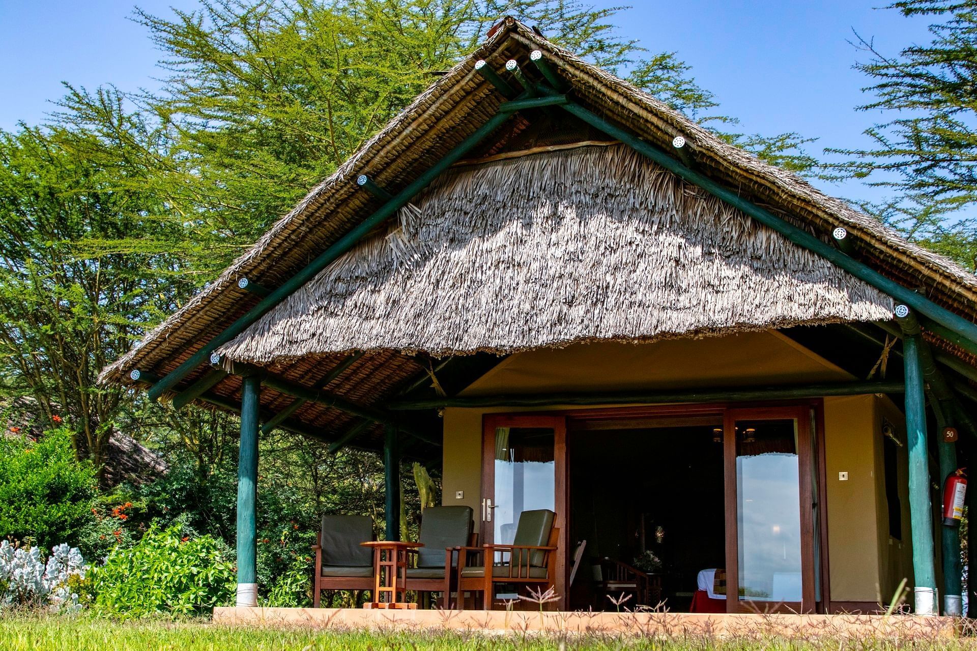 Morani Wing Sweetwaters