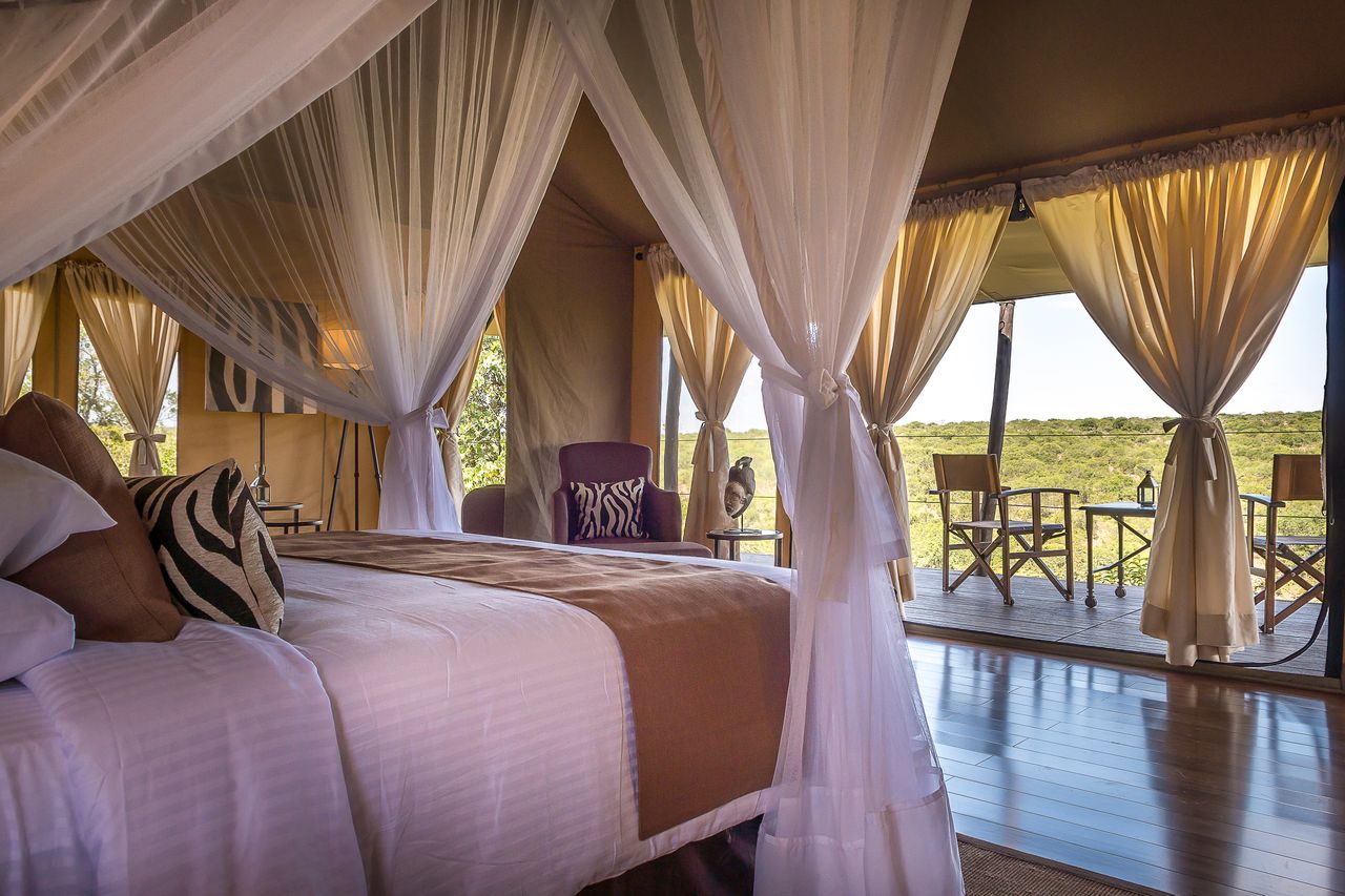 ADVENTURE ROAD SAFARI